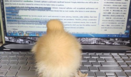 2022娱乐圈吃瓜乱象,揭秘吃瓜乱象背后的真相与反思