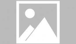 酱麻豆,传统美味与现代创新的完美融合